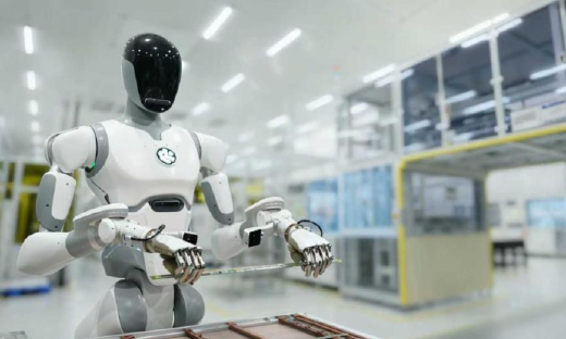 人形机器人狂热：钱多，但急