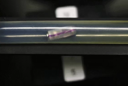 以毫米之躯，揽洪荒之力！微型机器人也能“上天遁地”：港城大港中文登Science子刊