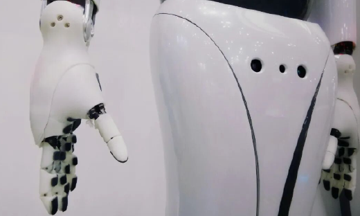 机器人“起飞”元年：热钱、故事与透支的未来