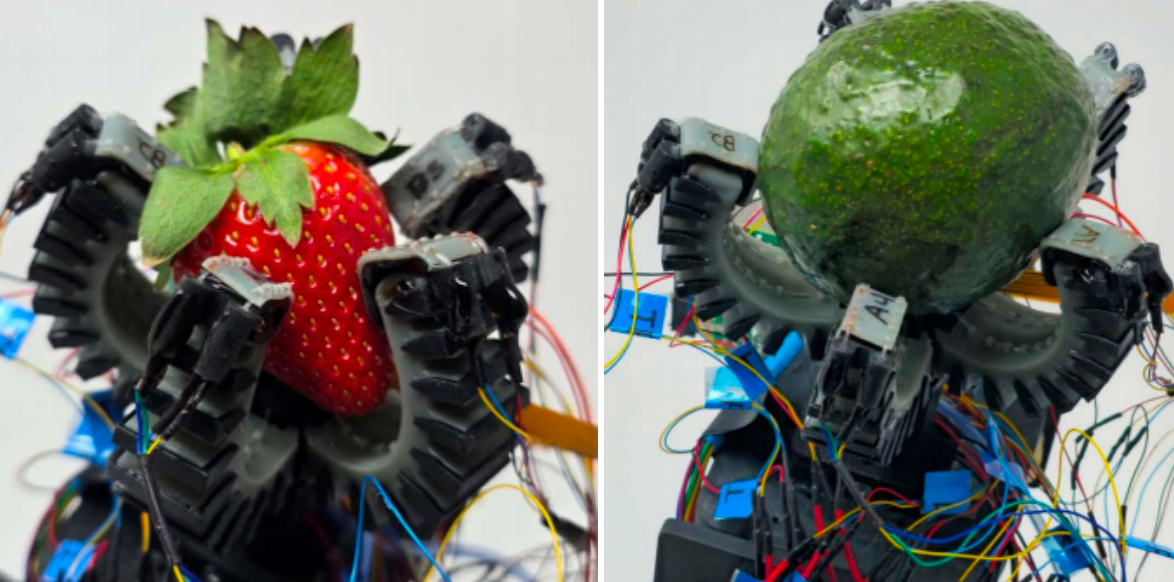 1774348531740455.png 5cd4135e90a4a995900c5a0be393a5f5.png