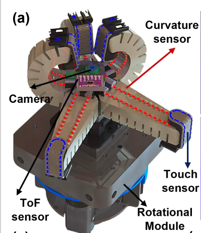1774348552802899.png 558dce451b31775bf2704e40b06b138b.png