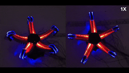 1774348571597882.jpg 70dddaf23272d225d244ef5b608643ae.jpg