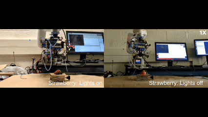 1774348686546619.jpg 16537be11ca23f01a95f01a9e3904b3c.jpg