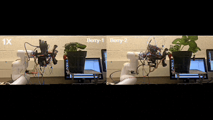 1774348703145239.jpg 94ea58d9c8ff5c9d409e24c63dde488b.jpg