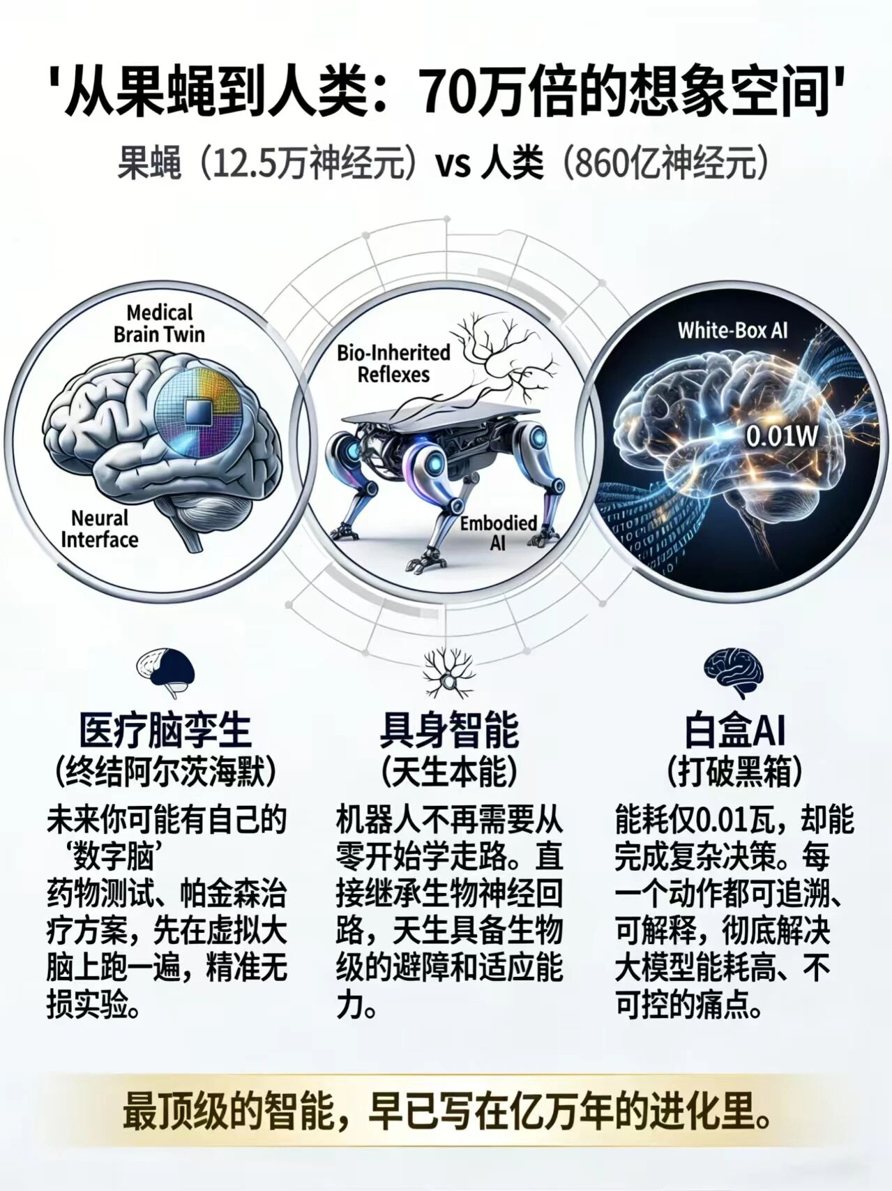 1774491940286132.png 8d90f1b7058df919f94a522601480c9d.png