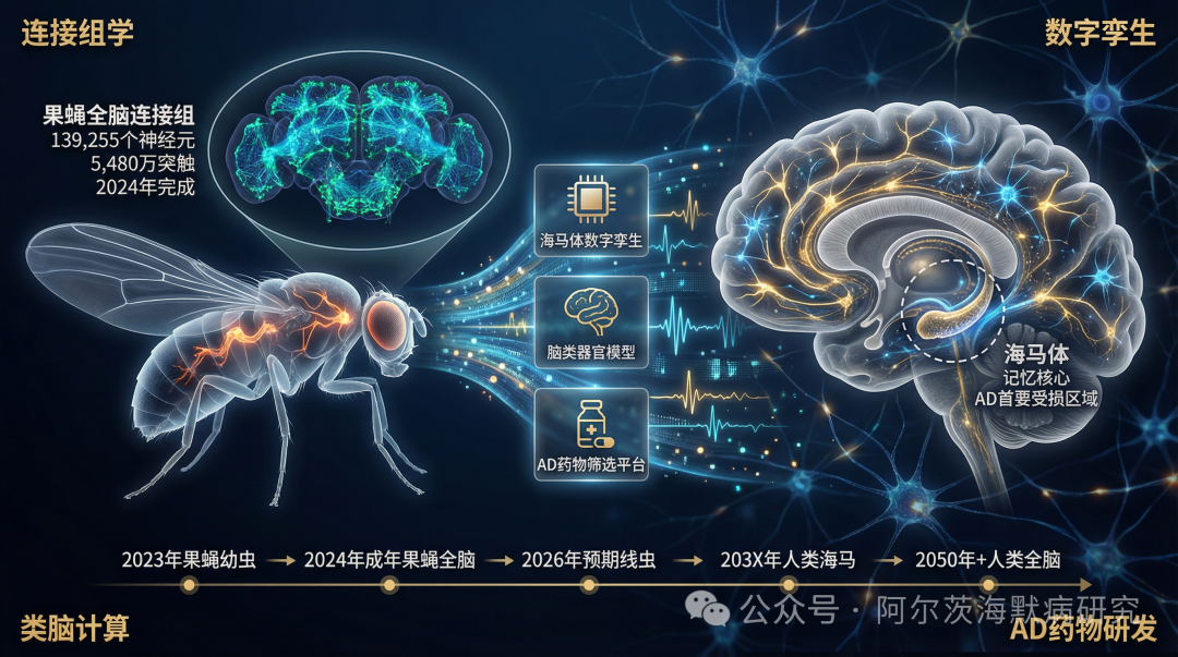 1774491951604391.png 9cc183bbc3784940042e2318b7dfdc7a.png