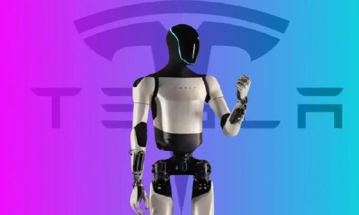 人形机器人，其实正在经历一次“去通用化”