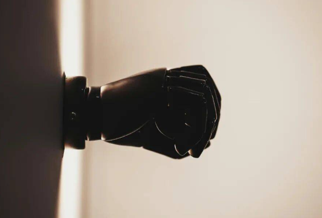 2026 具身智能开始“清场”