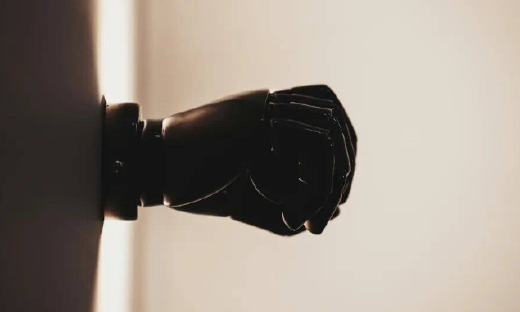 2026 具身智能开始“清场”