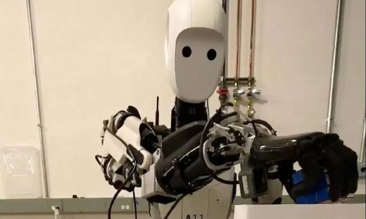 从指尖到大脑：具身智能的下一代进化——VLA、世界模型与发育学习