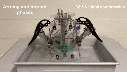 1775013424556610.jpg c3101ea5abd88a8d6954be5908f6d3e9.jpg