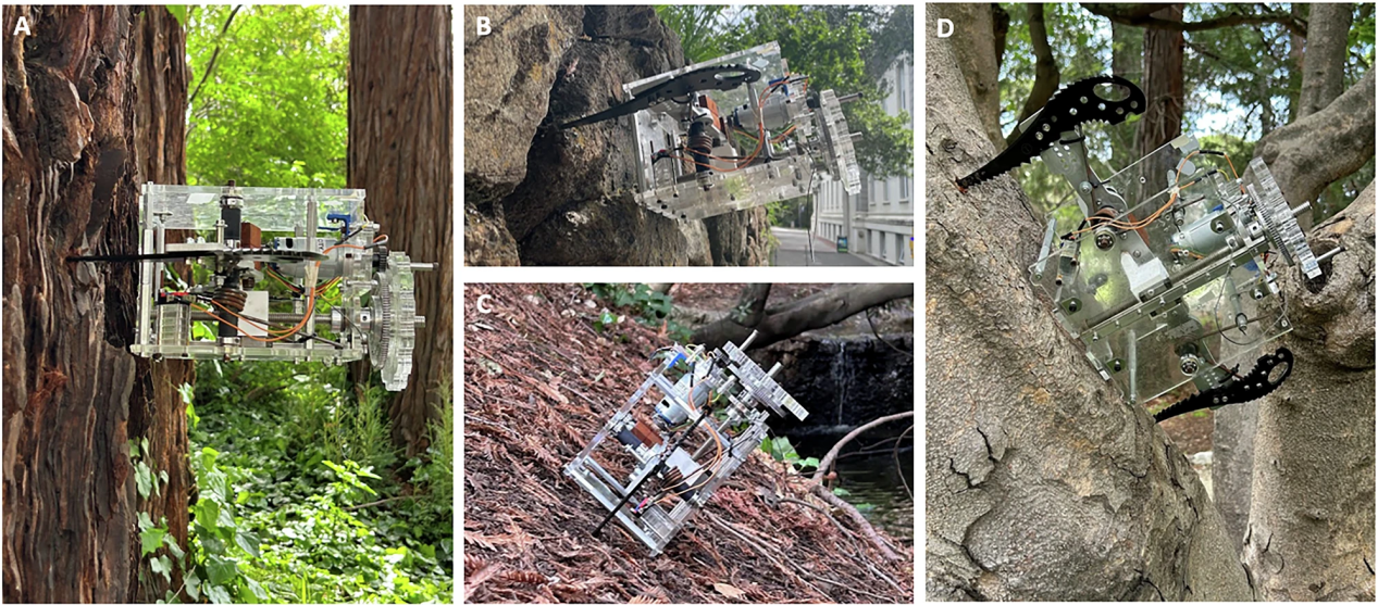 1775013448865576.png 98472519fe93c0b0d89e28dc5ebd1060.png