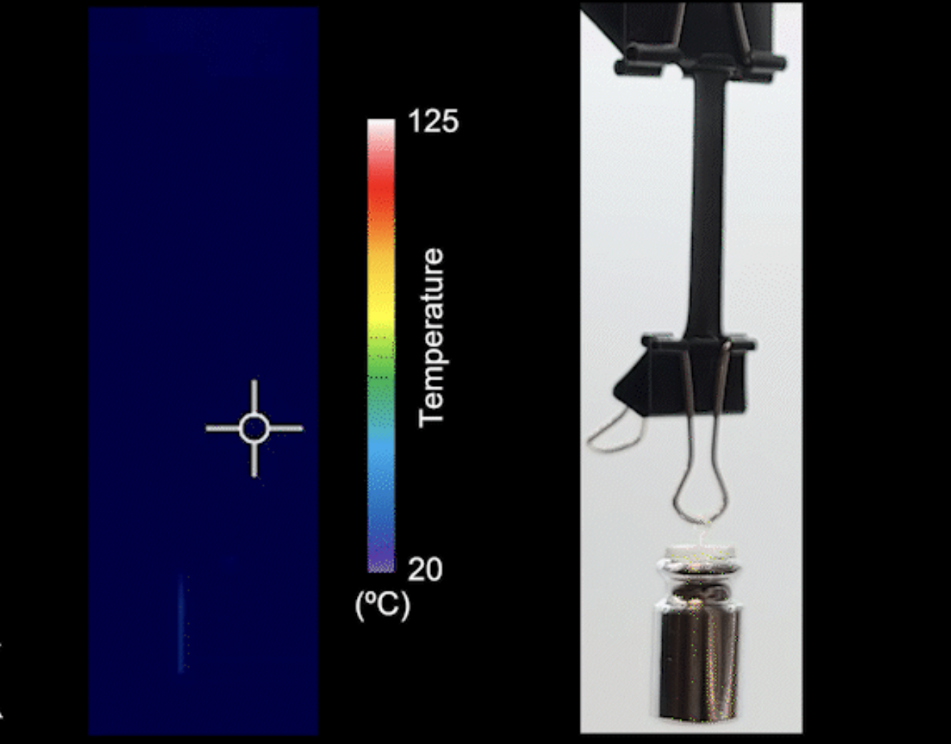 PNAS：这种软体机器人会“遇水变形”，游泳速度暴涨780%，还能滚动、爬坡、拉重物
