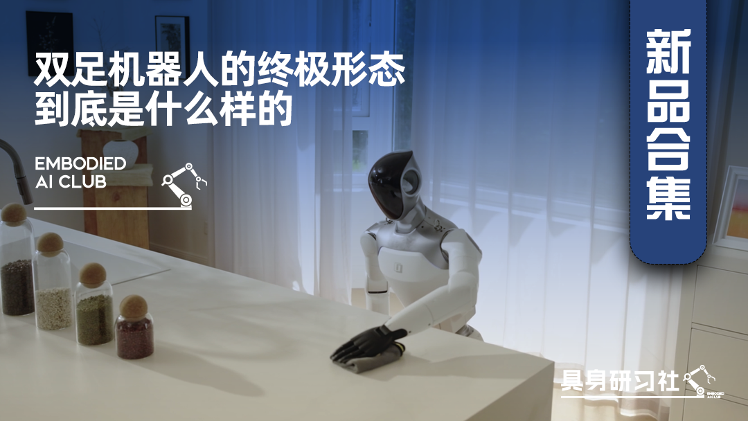 双足机器人的终极形态，到底是什么样的？