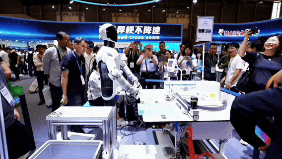 8087ed3dfac74552fb8e6b329bd12a85.jpg