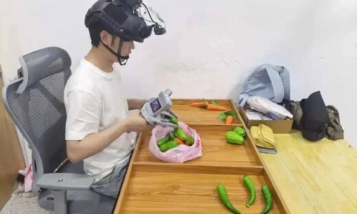 人形机器人踩坑：集中式数据采集工厂路线已经走不通了？