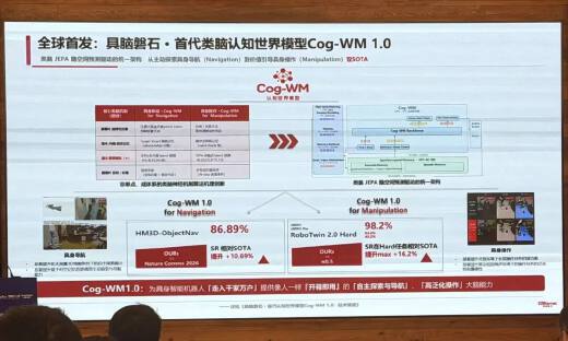 类脑，让中国具身智能成为新的一极