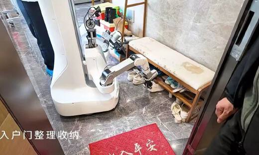 具身智能进家庭：热潮之下的真实进度