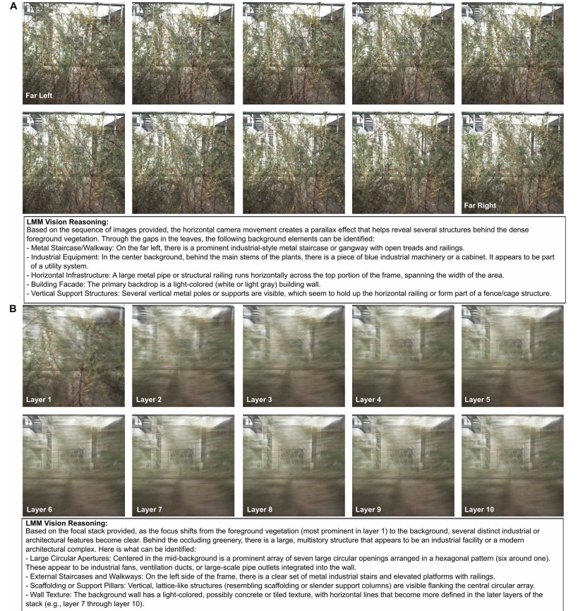 53f877f9164d52583bc72c60cd441d73.png