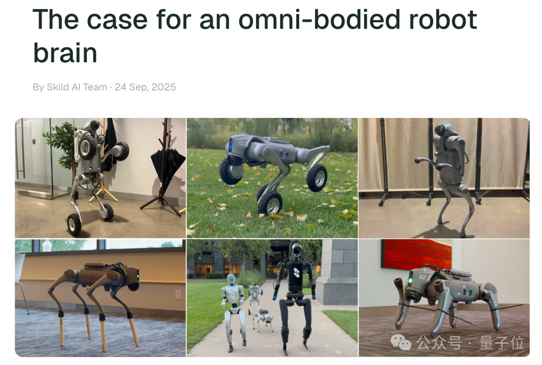 5009ba566dfb04ffef6a1c3203a09931.png