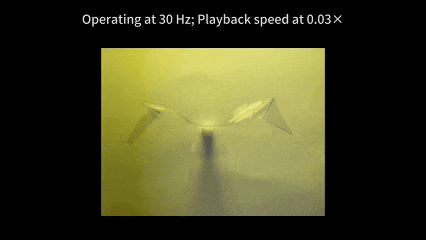 32870abcb16f26e42c0dfbdb8586ad29.jpg